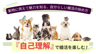 自己理解で婚活を楽しむ！動物に例える自己分析