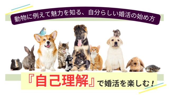 自己理解で婚活を楽しむ！動物に例える自己分析