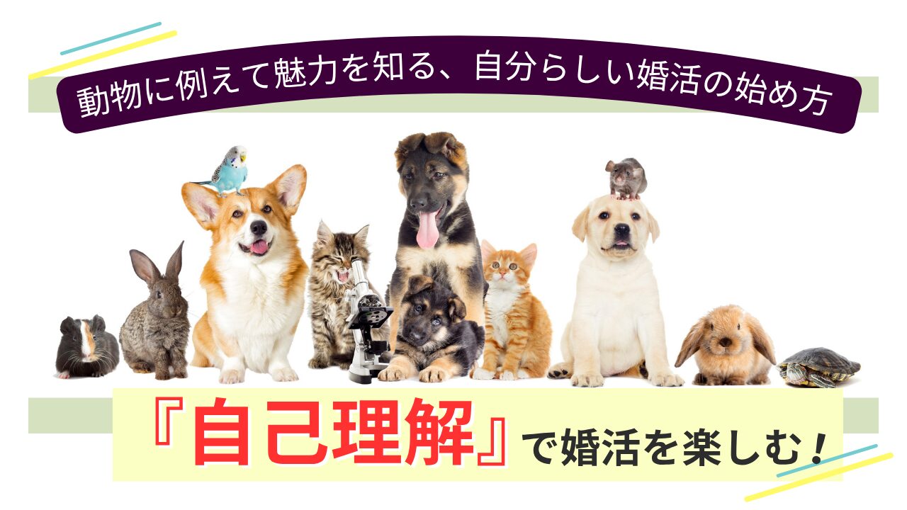 自己理解で婚活を楽しむ！動物に例える自己分析